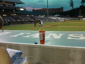 Smokey's Baseball Game 2010